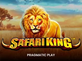 Safari King screenshot
